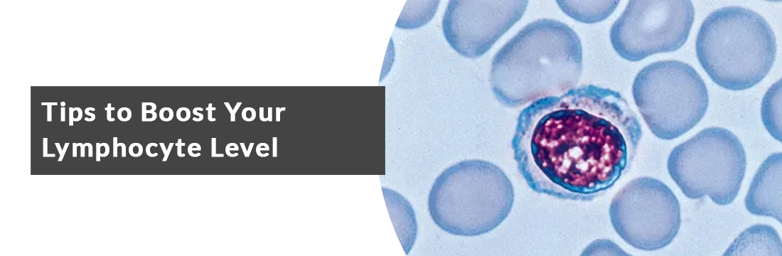 Tips to Boost Your Lymphocyte Level
